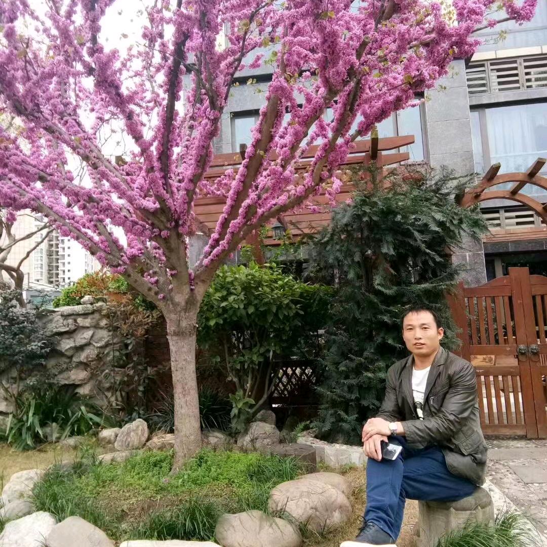 君子男，黑坪梁哥《有赞必回》