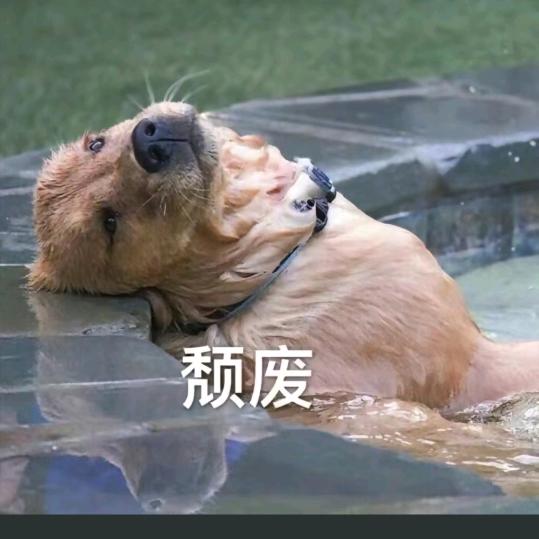 白雪爱剪辑
