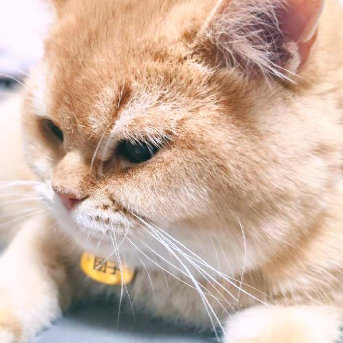 付款码