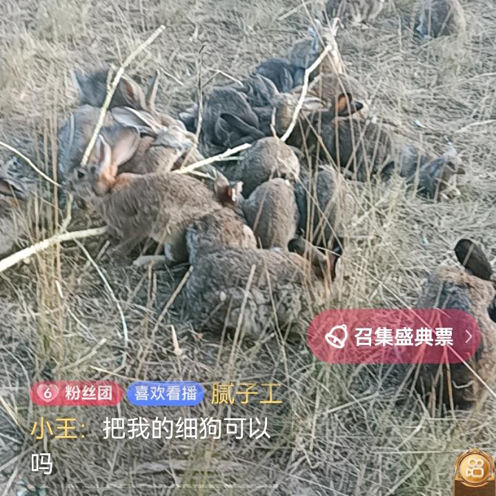 西北草兔一庄浪分部负责人