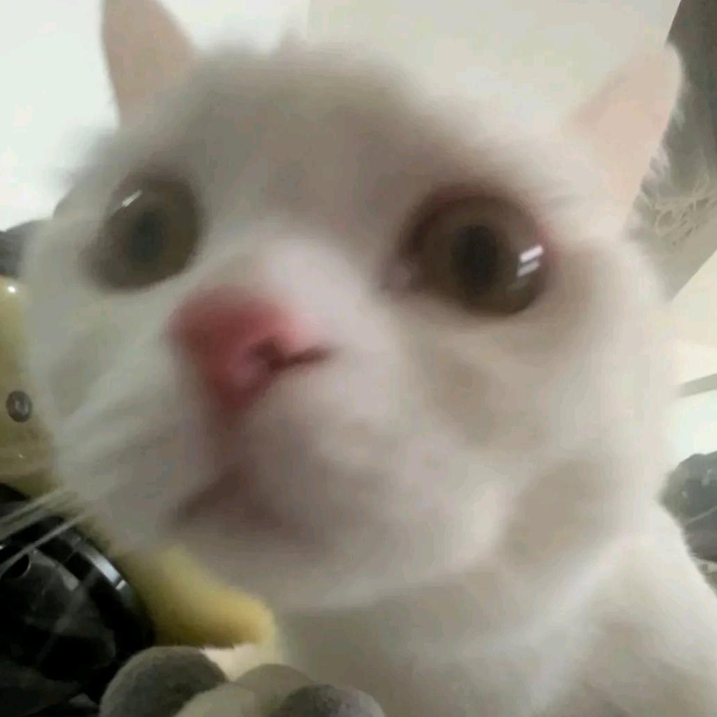 乌鸡白凤丸
