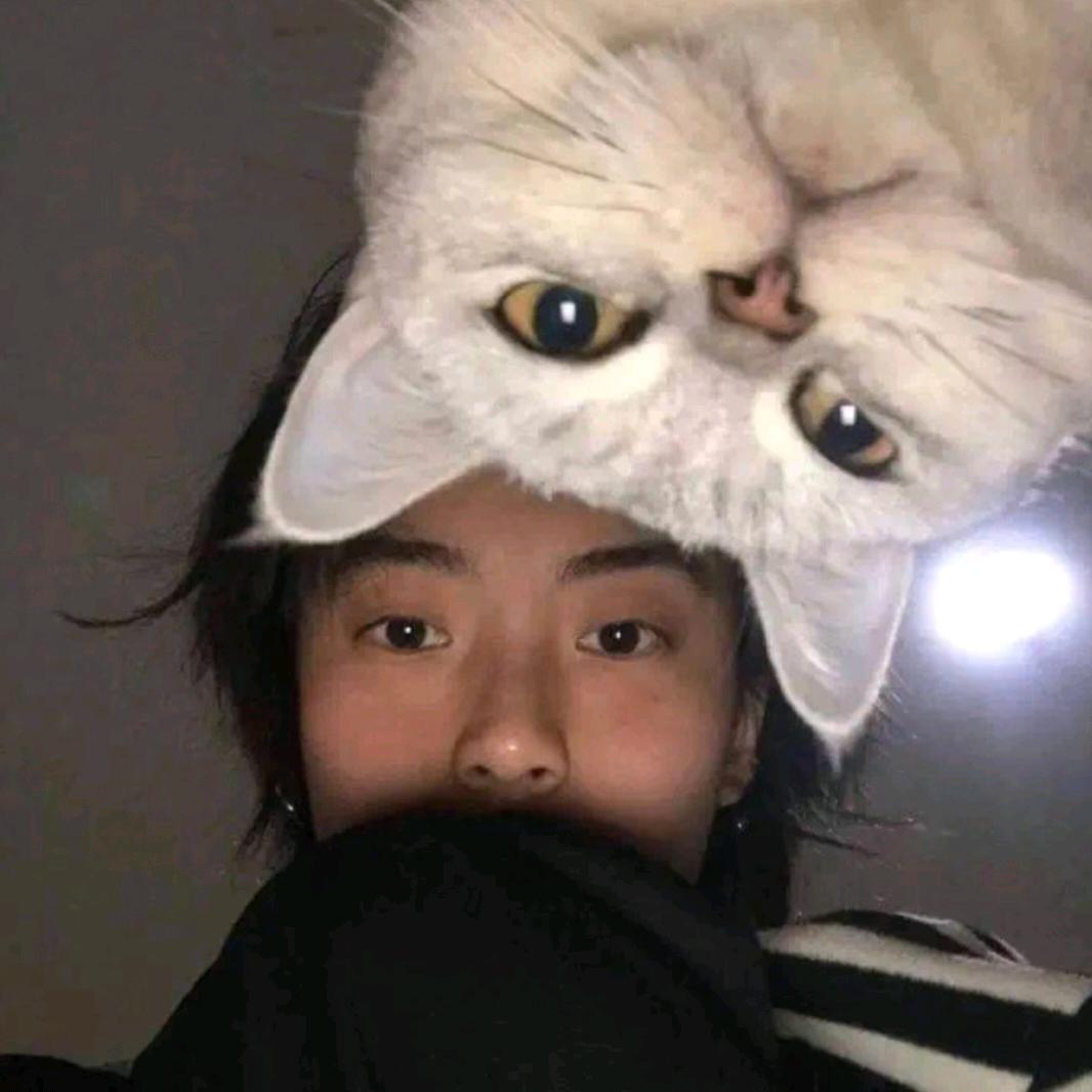 呕哑嘲哳难为听