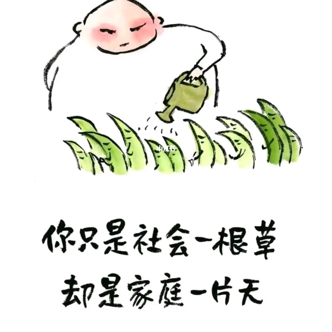 卖水果蔬菜的小帅锅