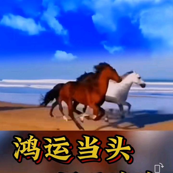 太阳哥