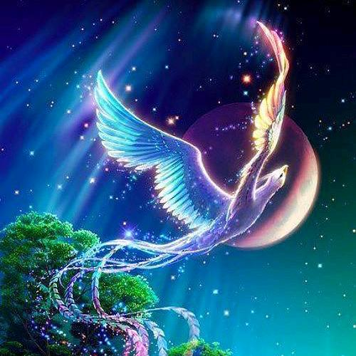 🌸雷☞雨☜田🌸´•ﻌ•`