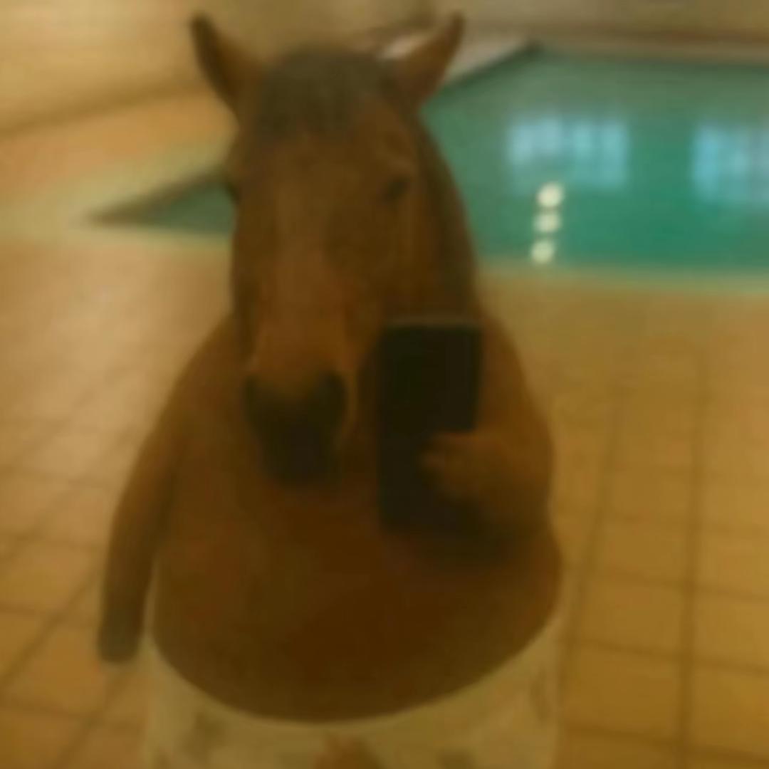 剪云者