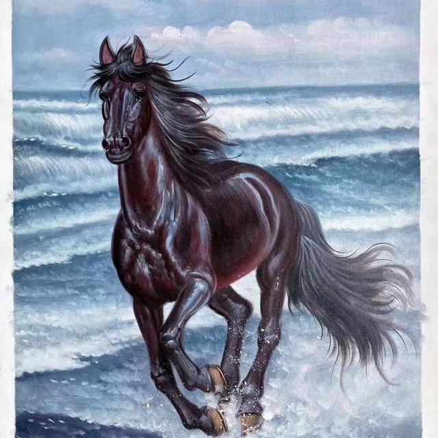 A-小锐学长（铜仁学院）