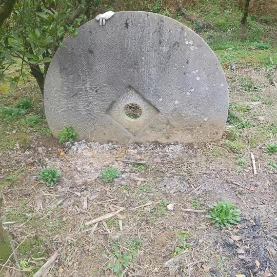 爱的味道