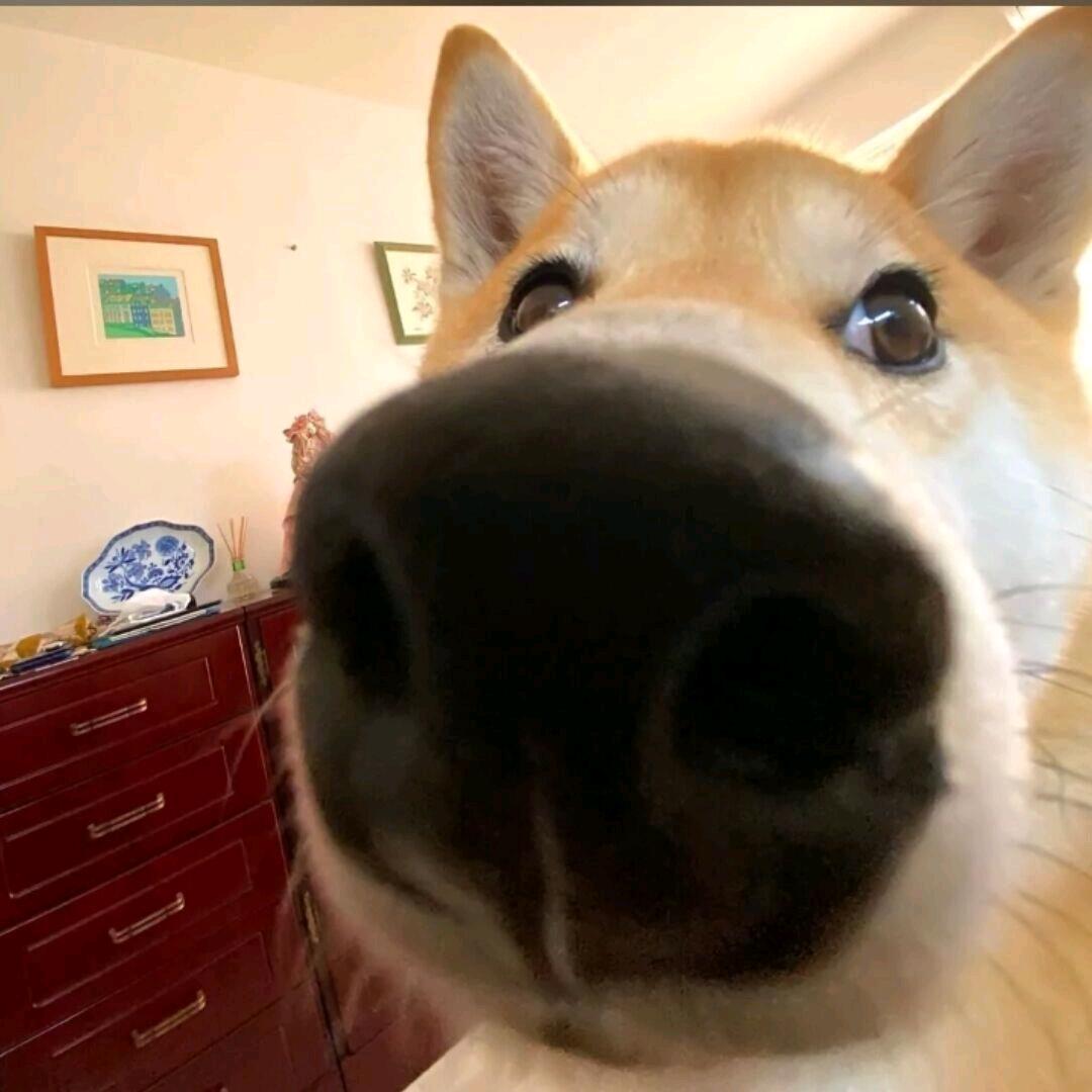 思念.