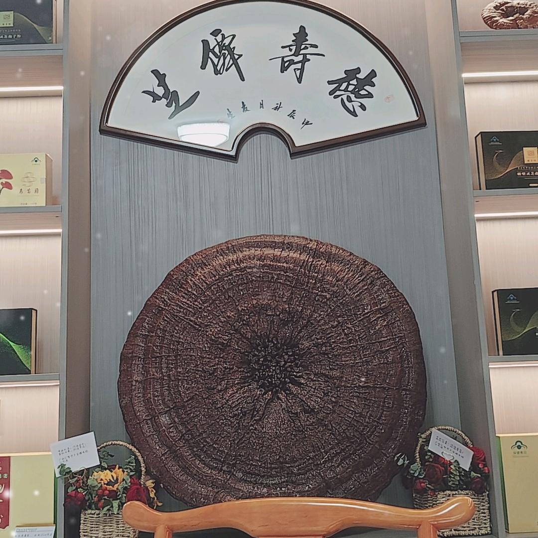 桂芝源（南宁）