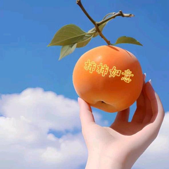 轩*萱