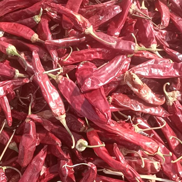 新疆辣椒孜然收售