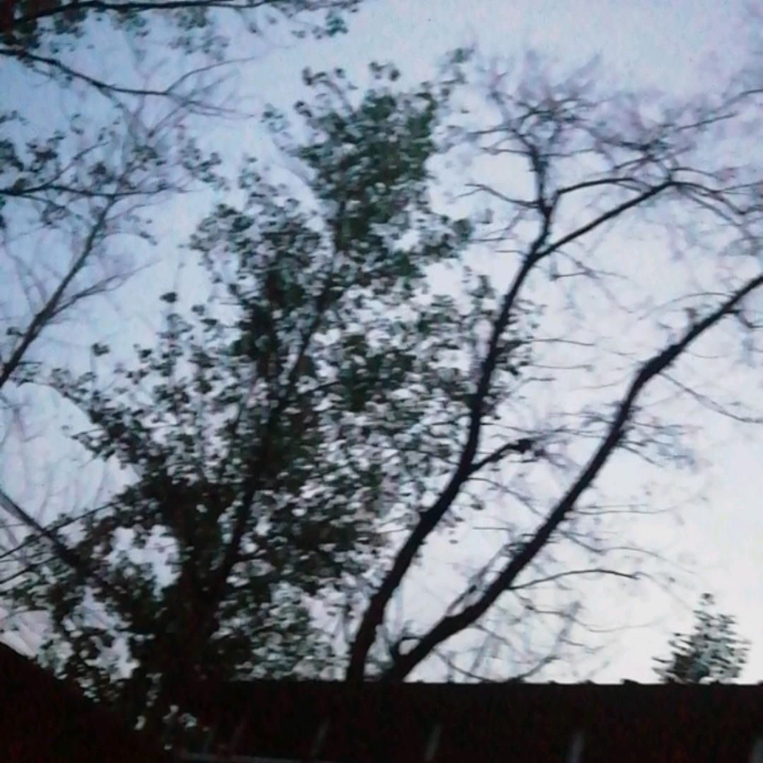 一生之敌