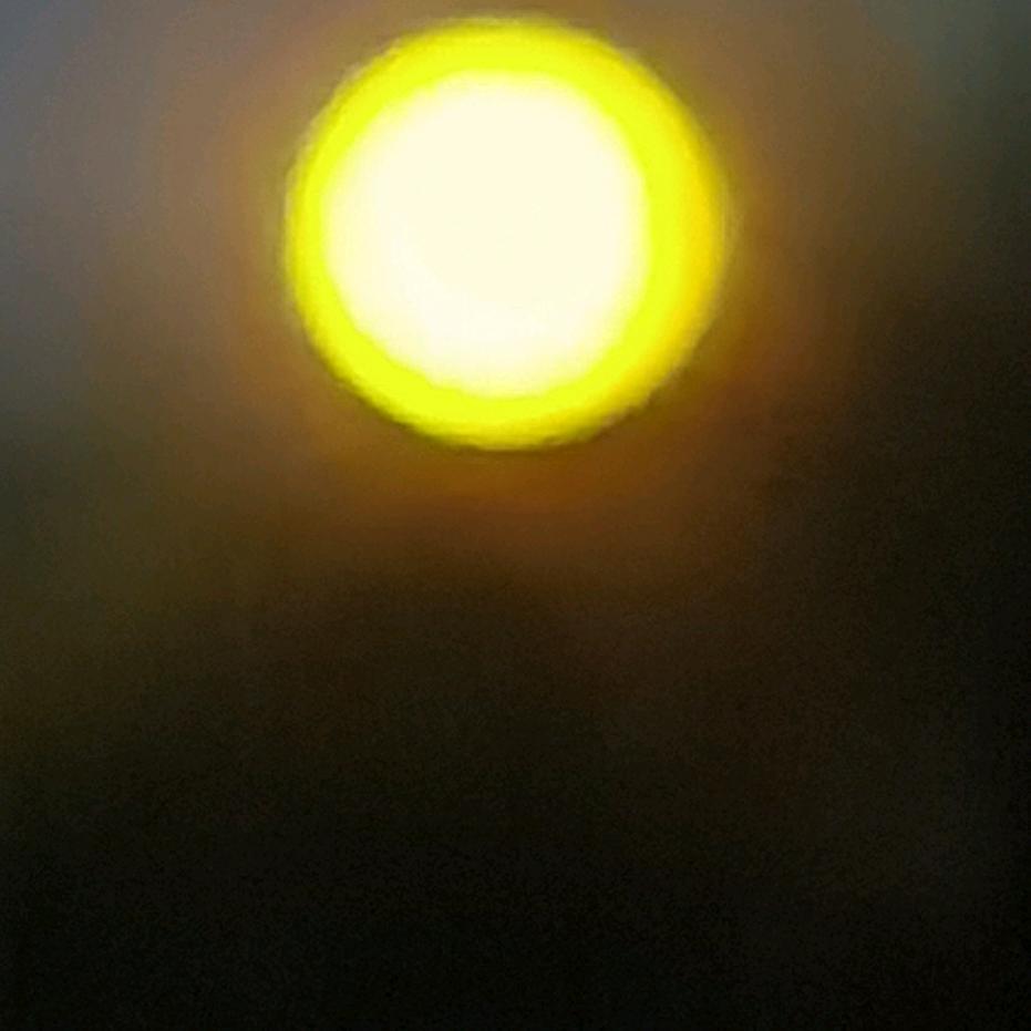 夜妩媚，人独醉