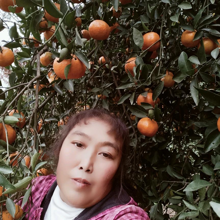 陈绍会