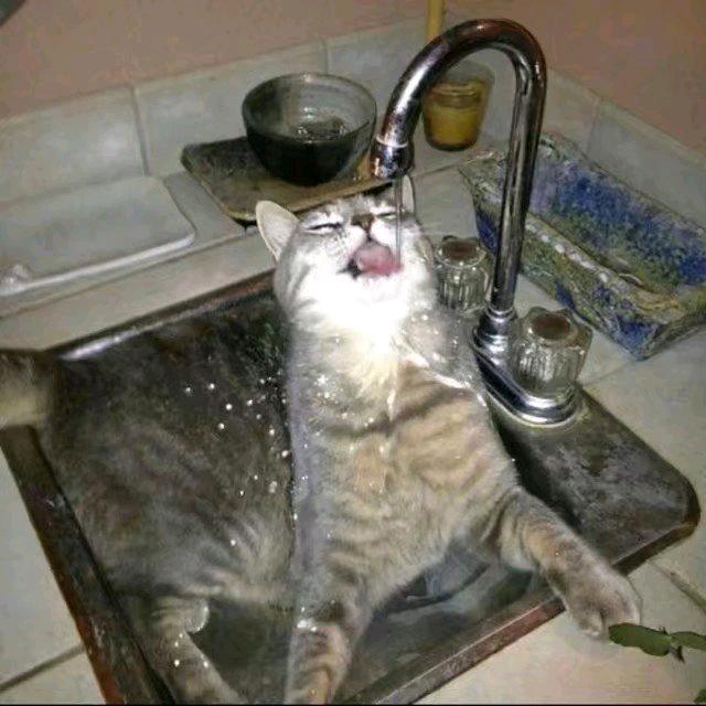 断魂