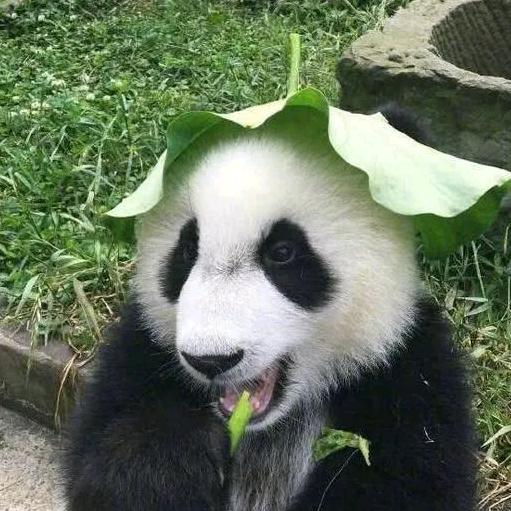 馋嘴零超市
