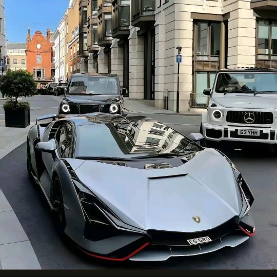 黑皮