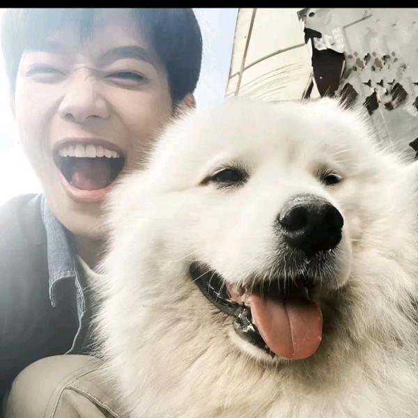 减脂期误食两头炸鸡