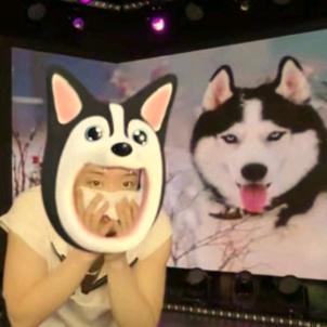 小鲁Tx🥷🐍🥷