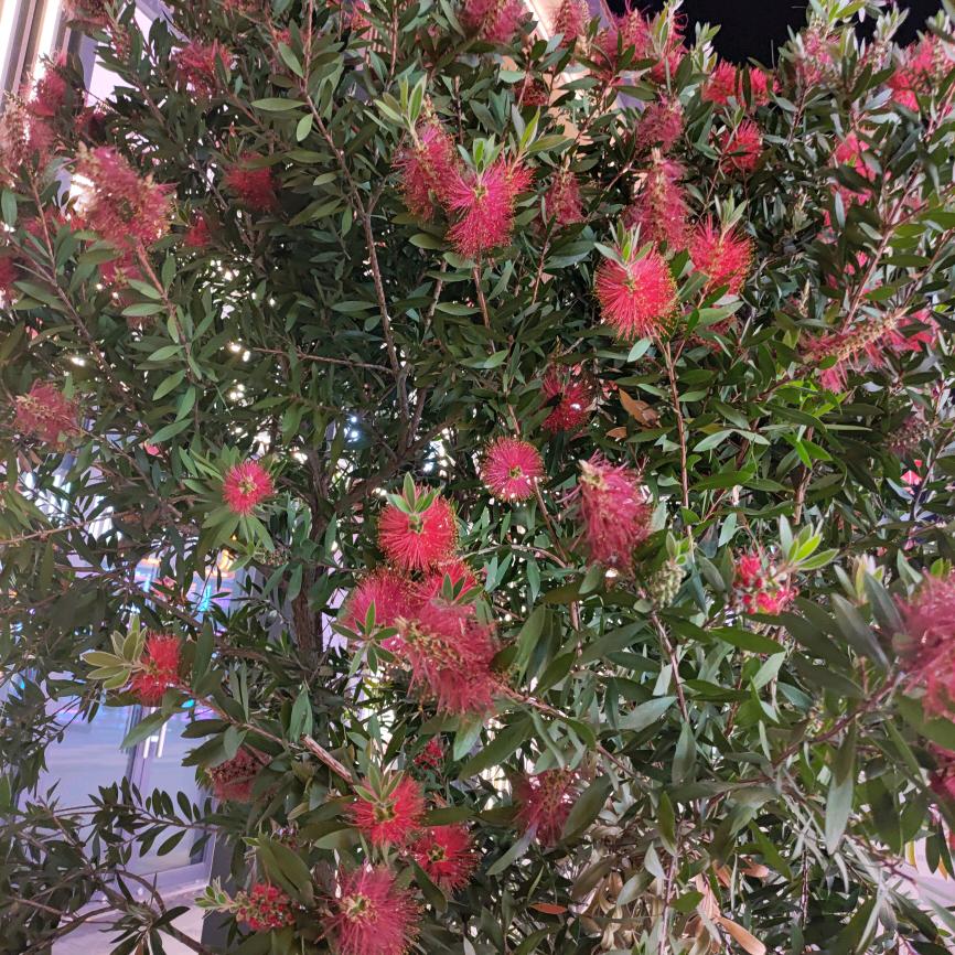 老岑用户25663509