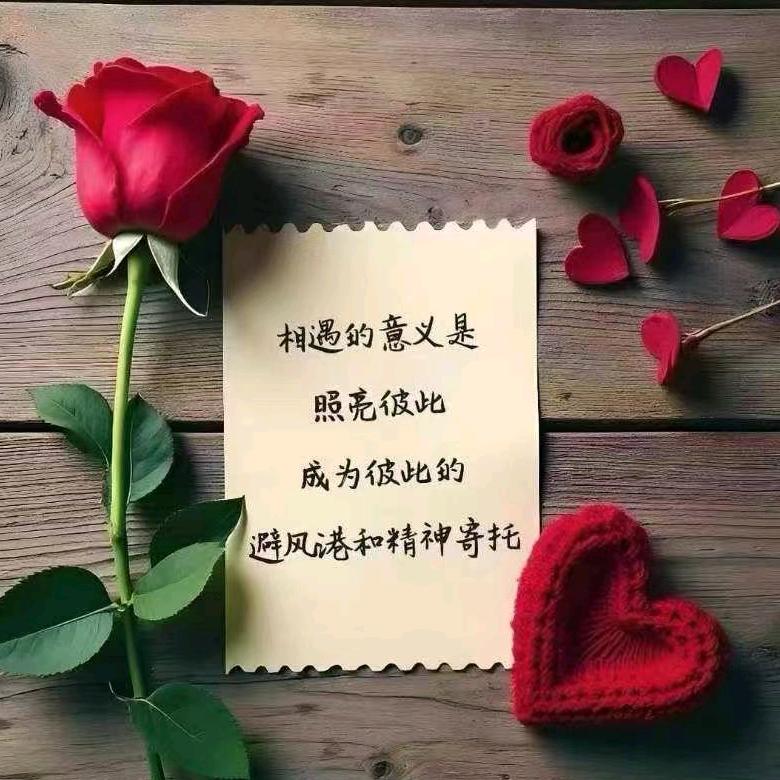 新用户二傻