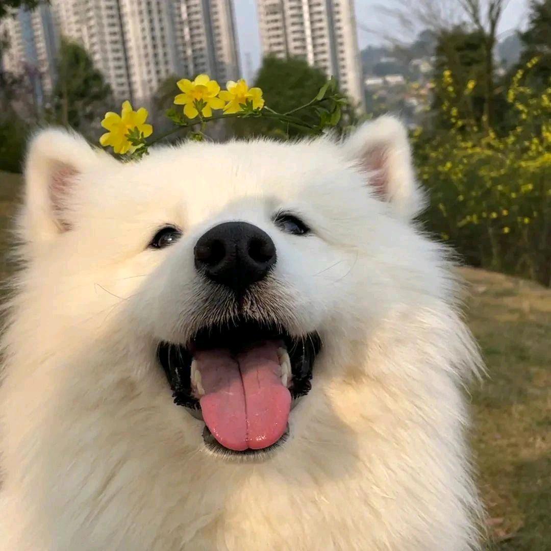 说以后🇨🇳