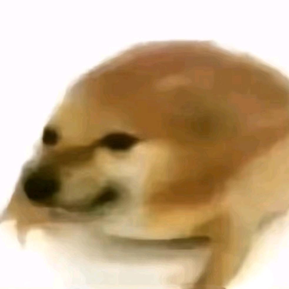 暗区最阴的鼠