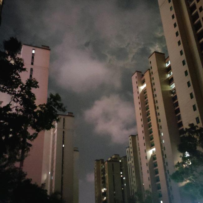 捉鸭记–袁小琼