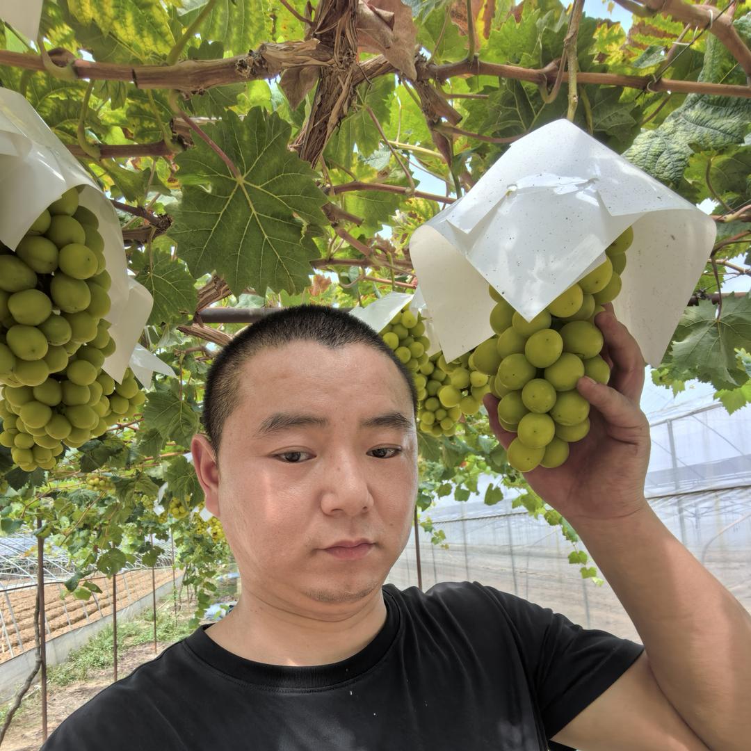 刘五洲