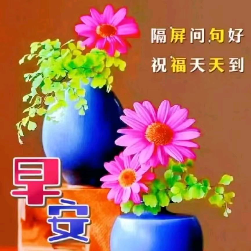 এ᭄ོ随遇ོ而安ృ༊💞