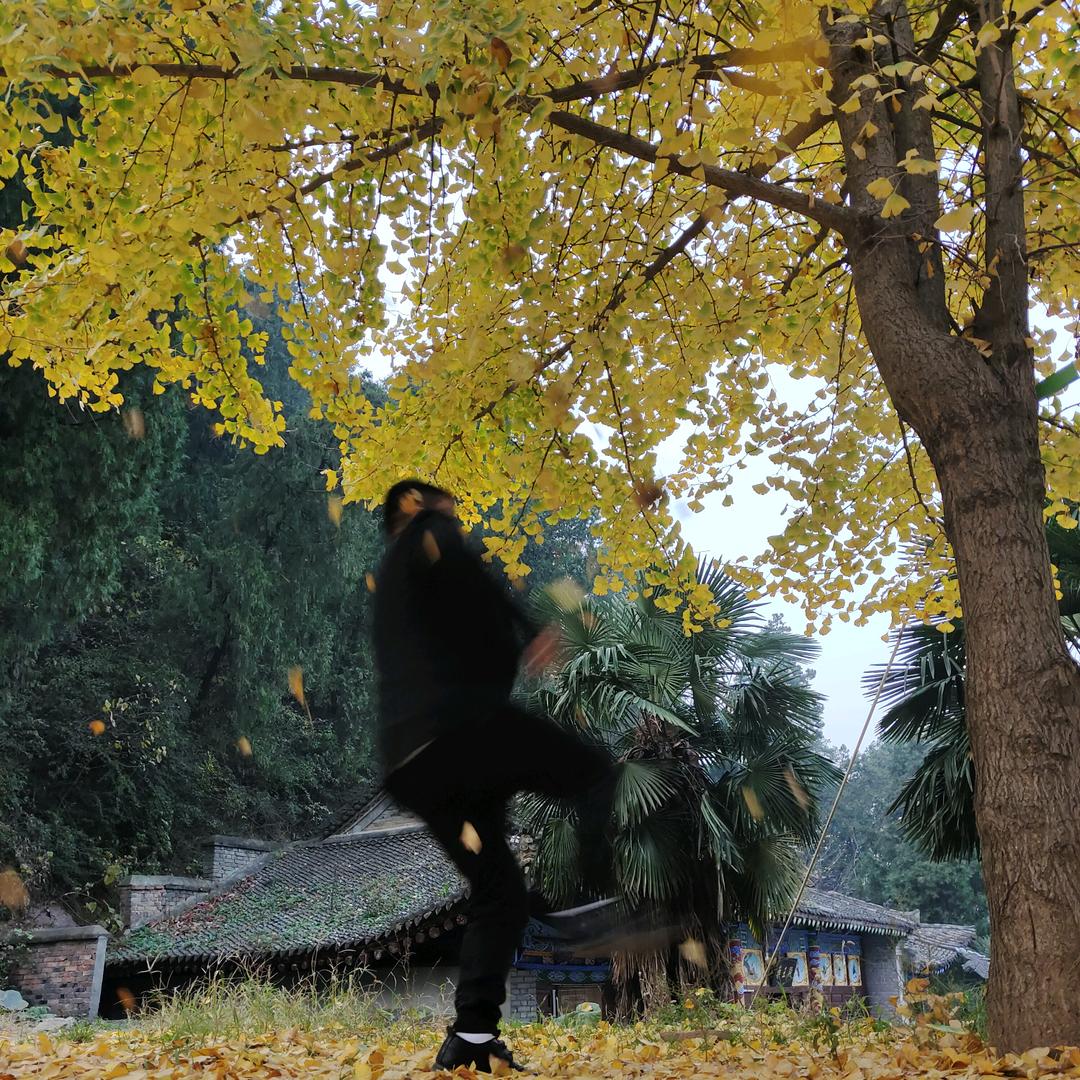 前行:《地材机械》