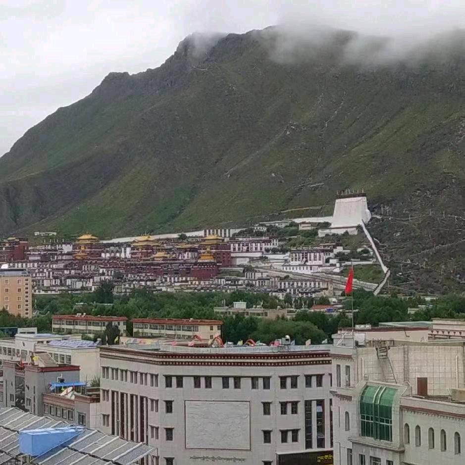 🦜🌺🌼🌹🏵️