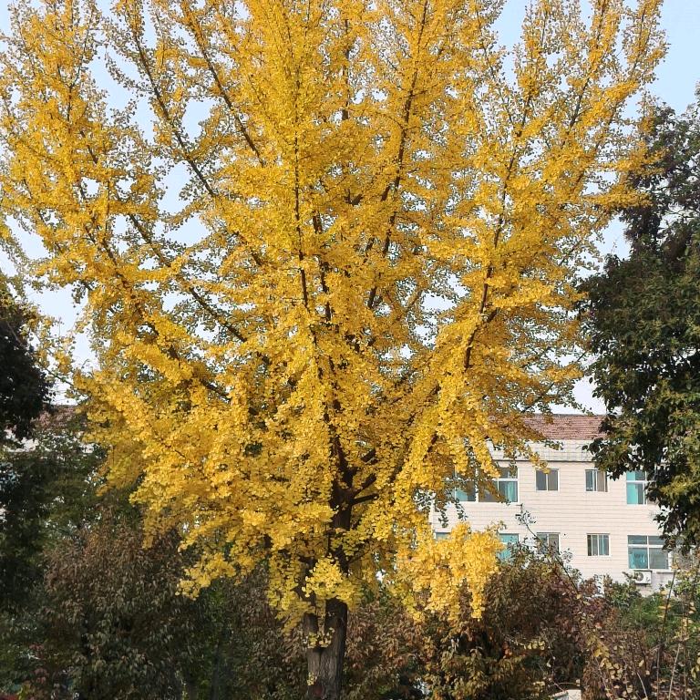 🌸((☀️1987814☀️))🌸