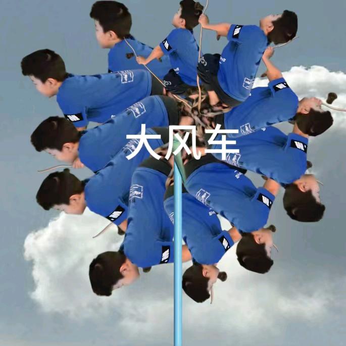开心香菜苗