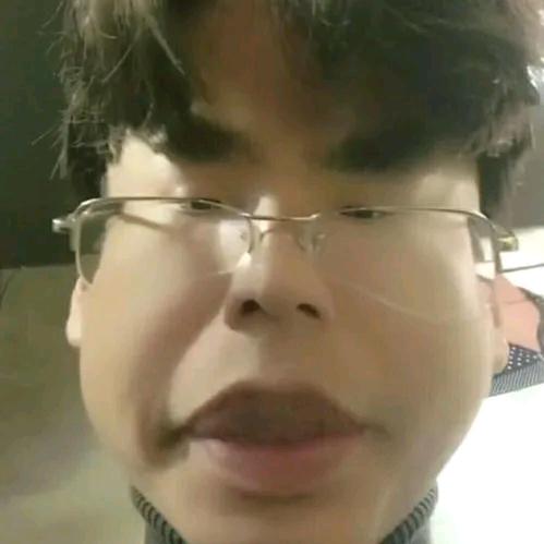 鑫鑫的星星