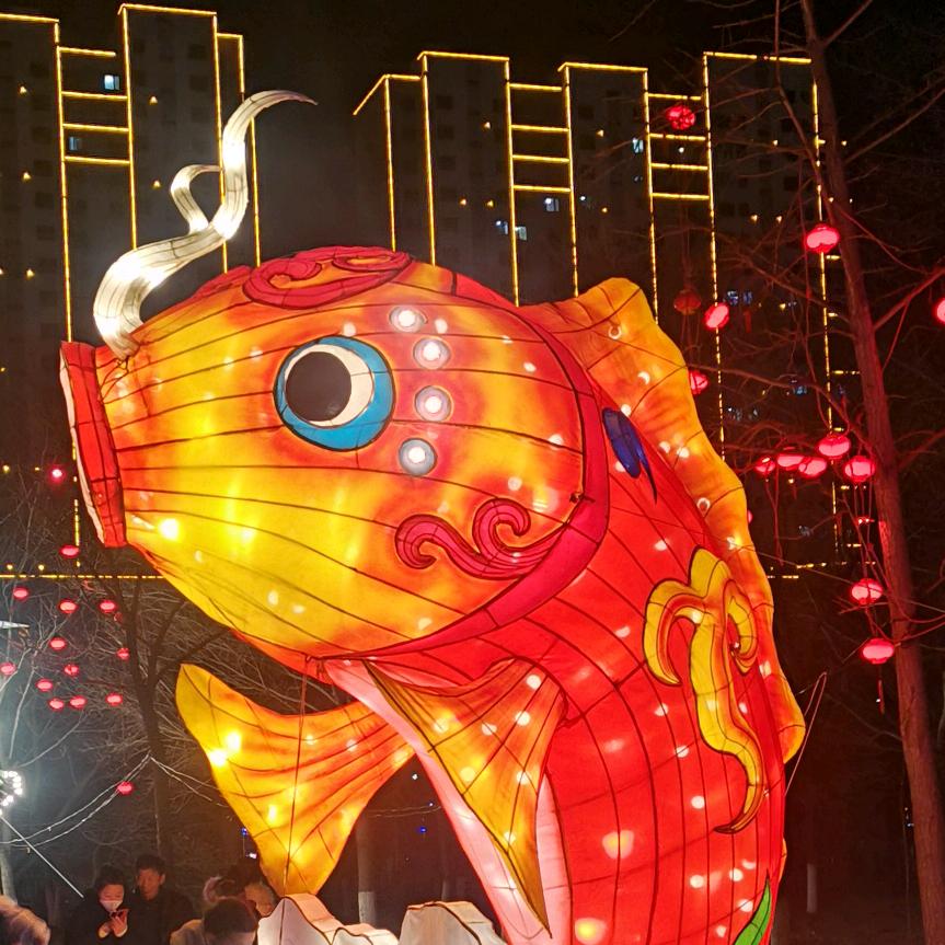 🐧明辨是菲🐧