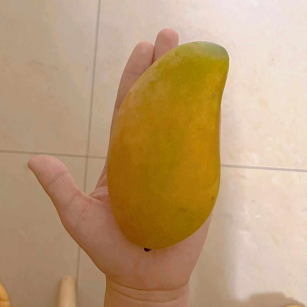 一只小小鸟