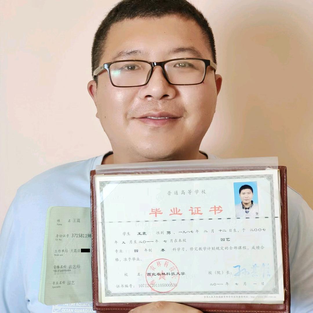 田间地头老王