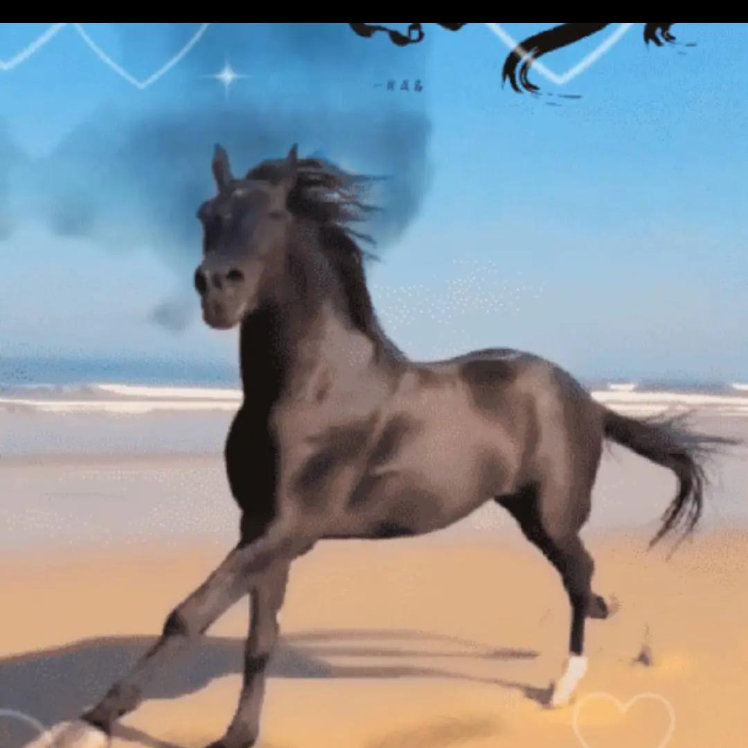 野马🐴
