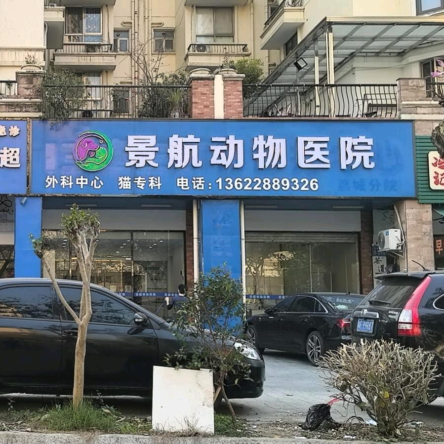 BECKY·景航动物医院冰冰