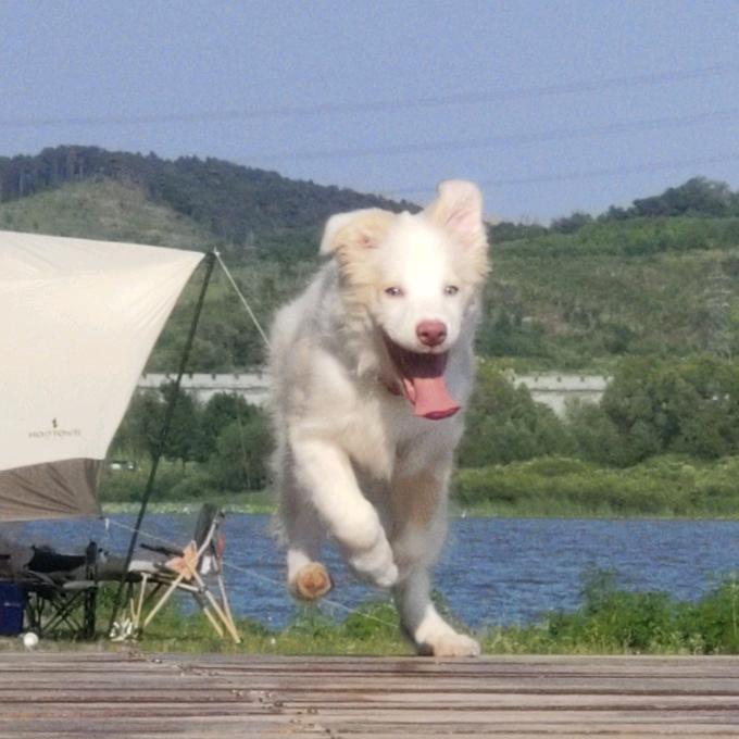 不用主播搭理我