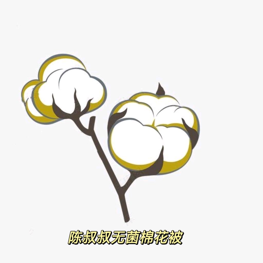 陈叔叔棉被