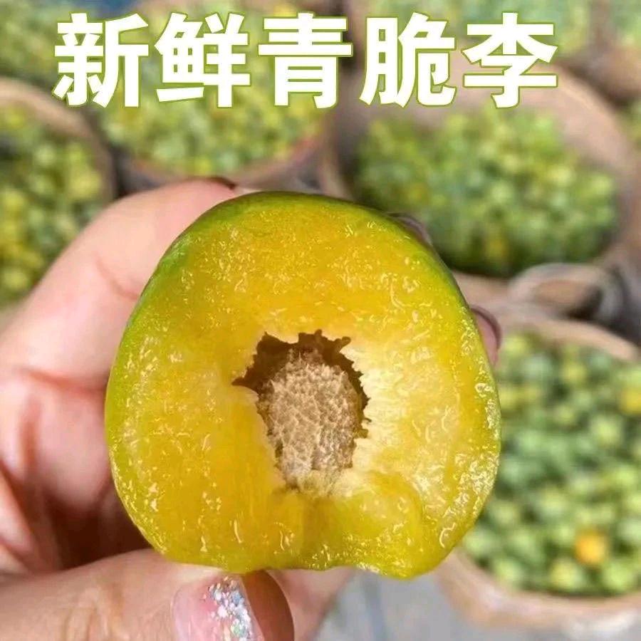枝间鲜果蔬