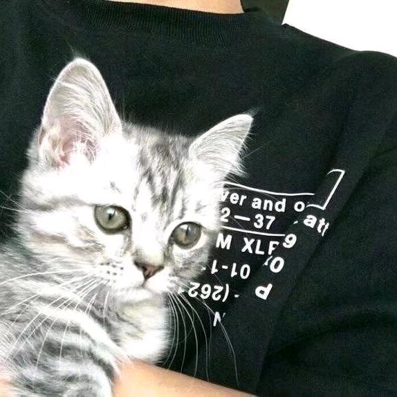 千禧（一定早睡）