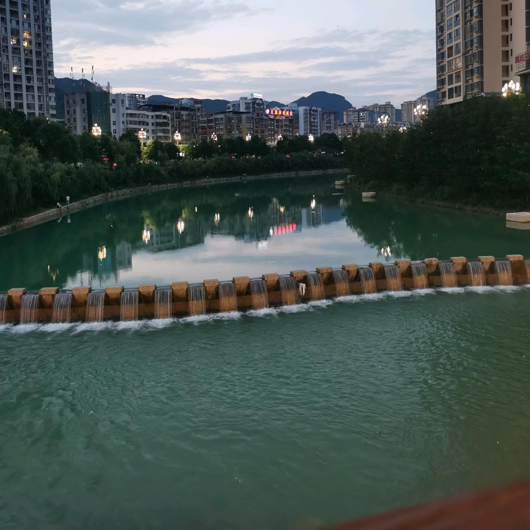 琴