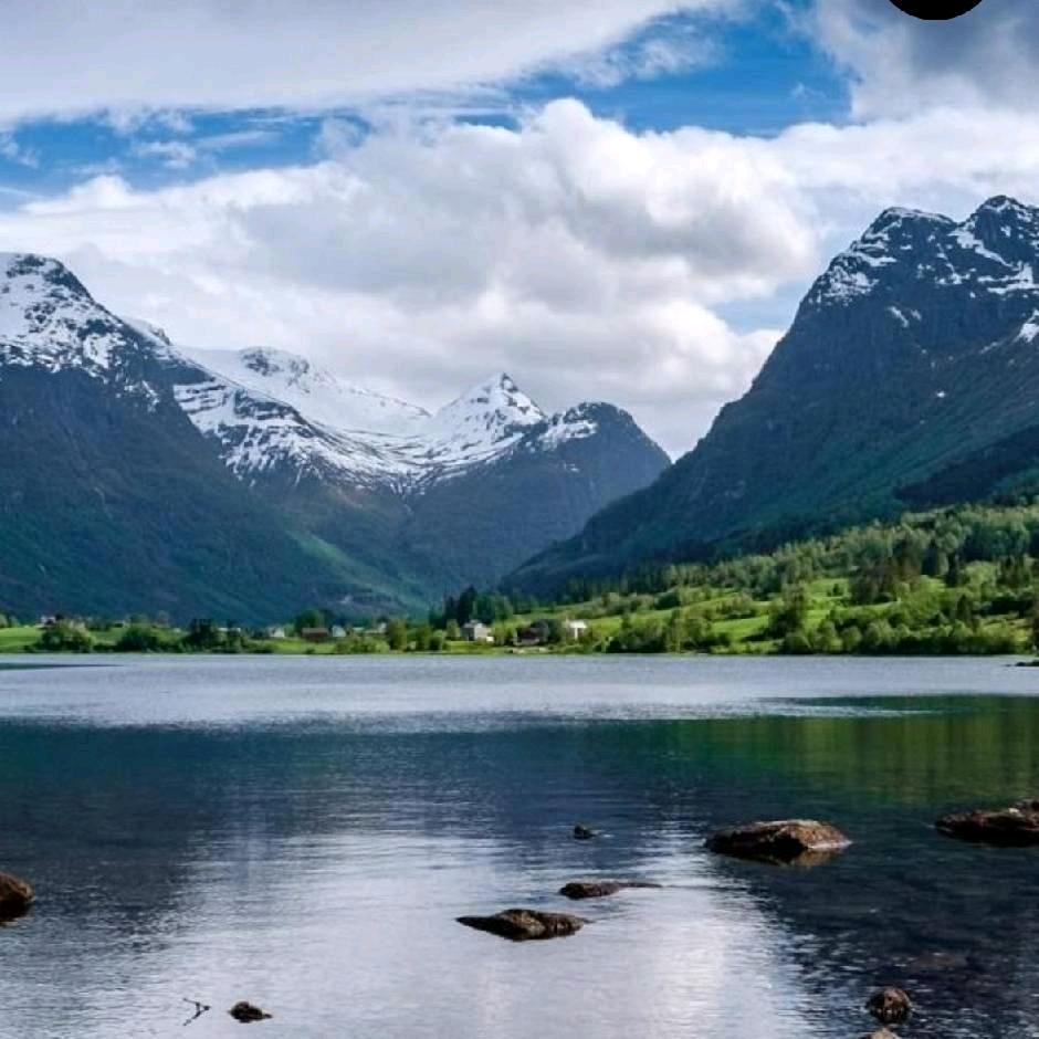 新疆伊犁福宝（肉质品源头厂家）