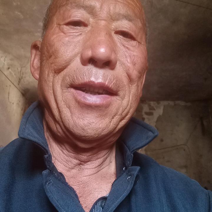 卜哥2024年