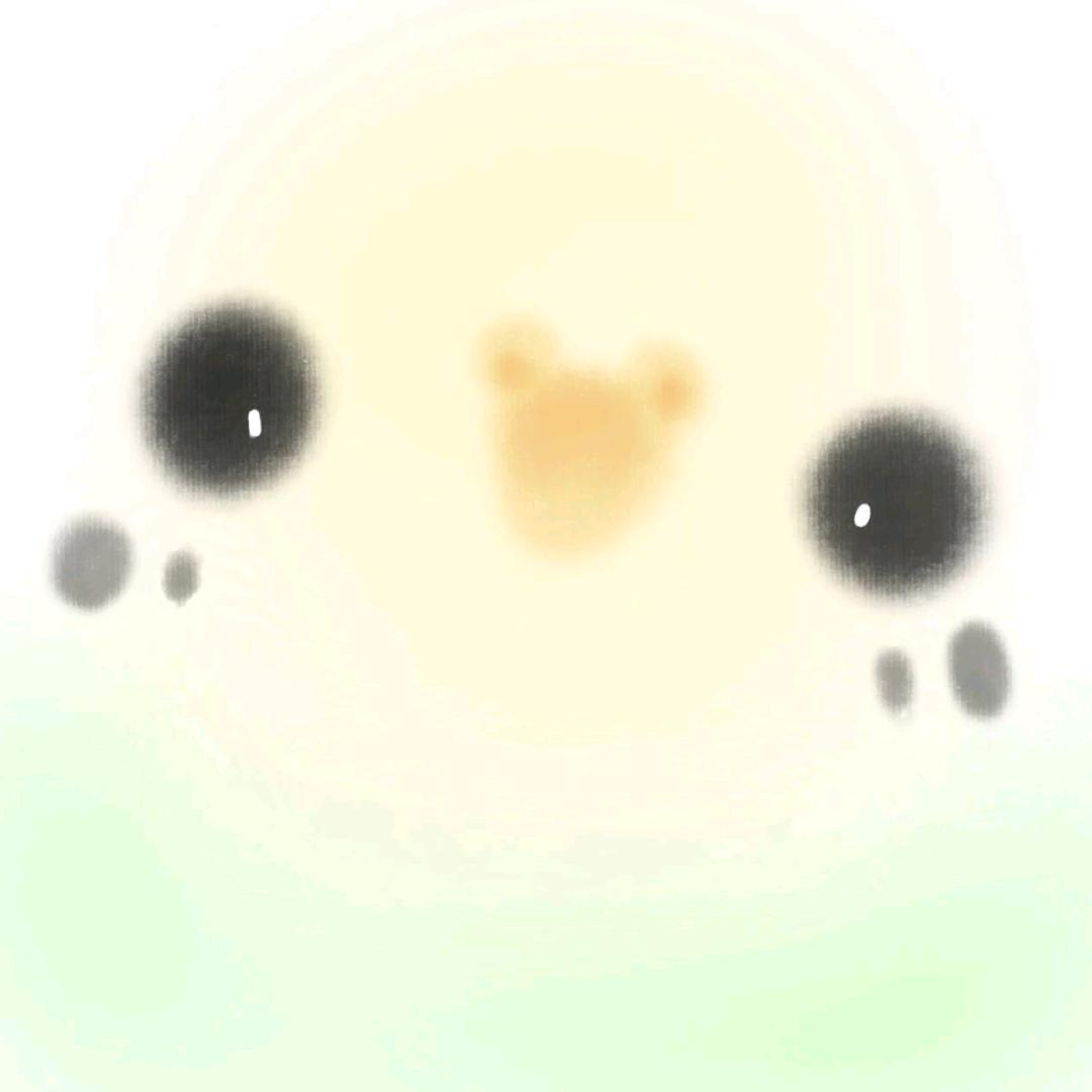 iN