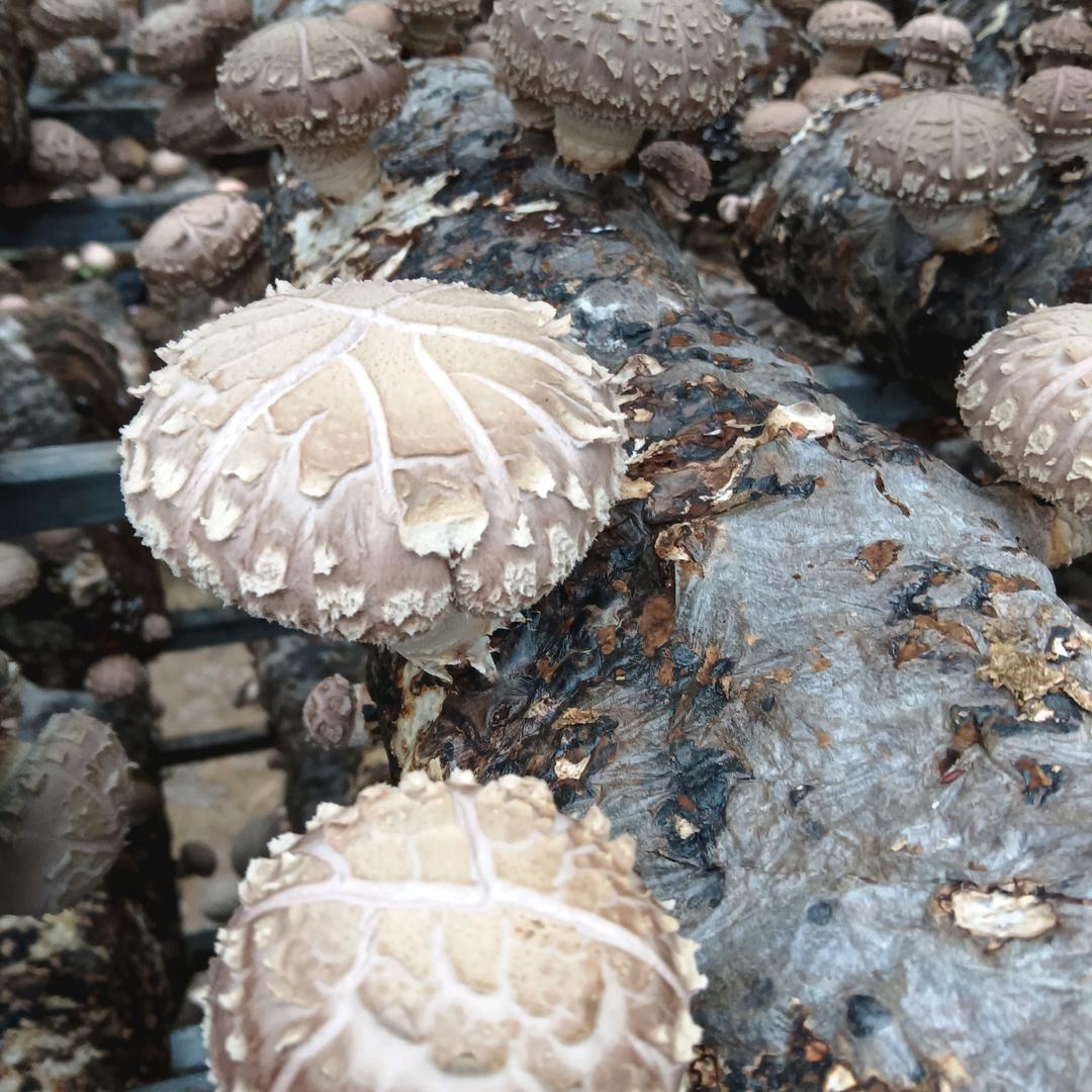 缘分